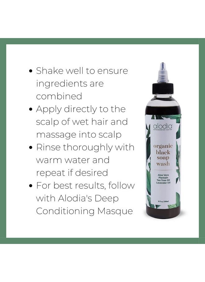 ALODIA - Nourish & Heal Organic Black Soap Wash With Plantain To Soothe Dry And Damaged Scalp 100% Organic And Natural 8 Ounces - Image 1
