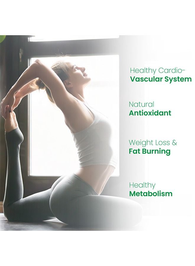 غاردينو جاردينو مستخلص الشاى الأخضر مع EGCG لدعم الوزن الصحي 500 مجم | يدعم صحة القلب والتمثيل الغذائي والطاقة بالبوليفينول - 60 كبسولة - Image 5