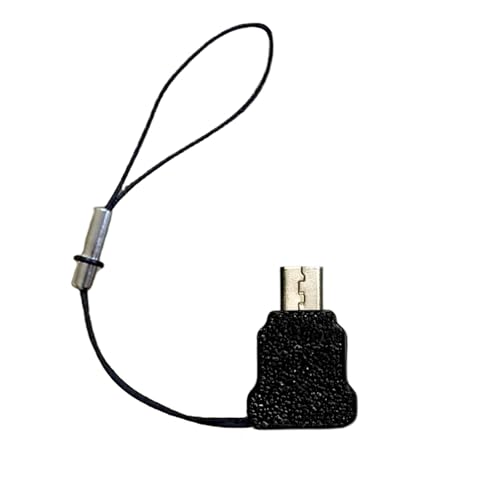 TEGRUP Game Console Charging Adapter, Type-C Interface for 3ds & NDSi & 2ds, with Anti-Loss Hanging Rope (Black) - Image 1