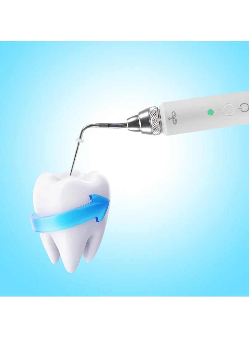 EVEREEN Dental Cordless Wireless Gutta Percha Obturation System Endo Heated Pen 2 Tips Wireless for Root Canal Filling Obturation Filling - Image 4