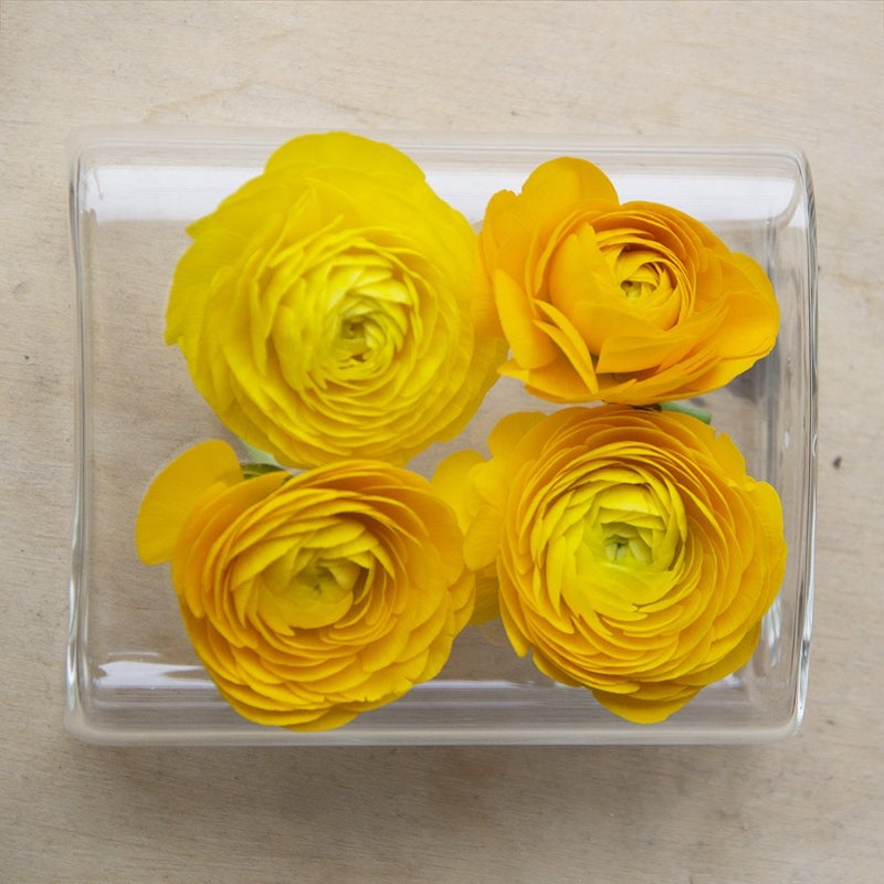 Chive â€˜Hudson 2 Fluteâ€™ Flower Vase â€” Beautiful Small 4-Hole Multi-Chambered Clear Glass Bud Vase â€” Perfect Flower Vases for Centerpieces, Wedding Decorations and Living Room Decor - Image 5