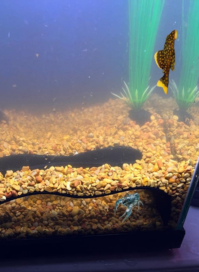 Chatelet REEFSHAPE - Abstract Aquarium Viewing Tunnel | Wavy Design Fish and Shrimp Hideout | Under-Substrate Tunnel | Made in USA (Black) - Image 4