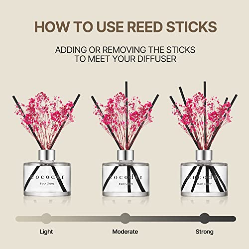 COCODOR Preserved Real Flower Reed Diffuser/Rose Perfume / 6.7oz(200ml) / 1 Pack/Reed Diffuser Set, Oil Diffuser & Reed Diffuser Sticks, Home Decor & Office - Image 4