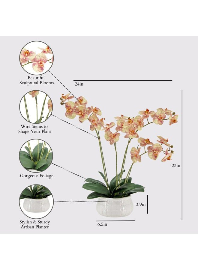 CG Hunter Faux Orange Orchid Plant, Premium Artificial Indoor Flower Display Stands 23”, Beautiful Sculptural Blooms That Lasts Forever, Grey Planter Pot Included - Image 2