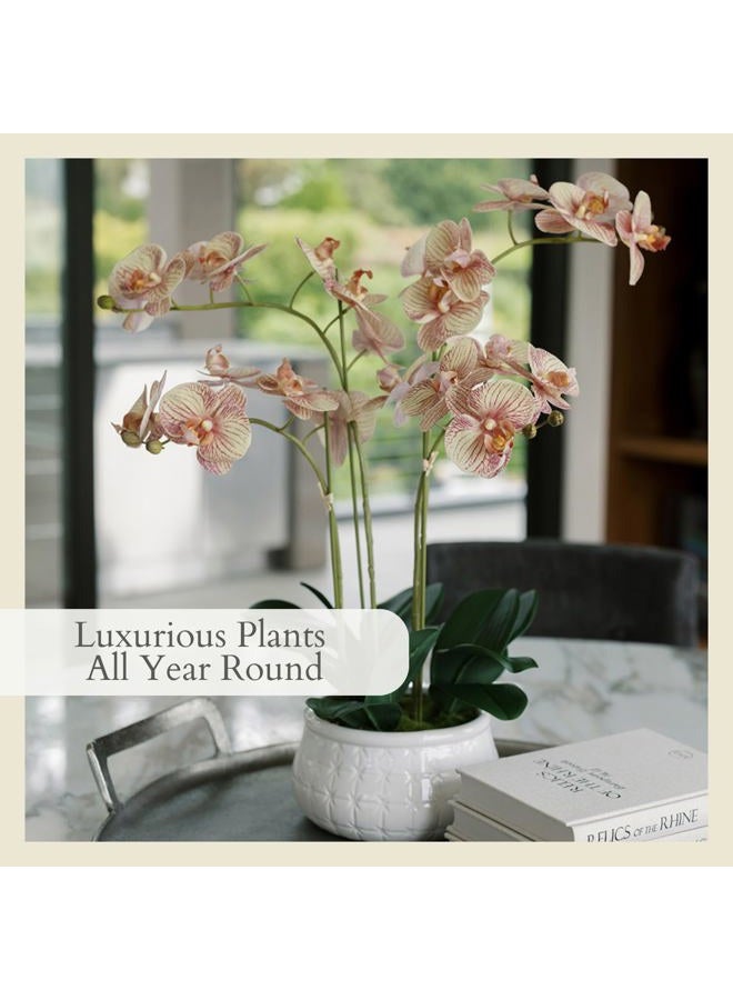 CG Hunter Faux Orange Orchid Plant, Premium Artificial Indoor Flower Display Stands 23”, Beautiful Sculptural Blooms That Lasts Forever, Grey Planter Pot Included - Image 5