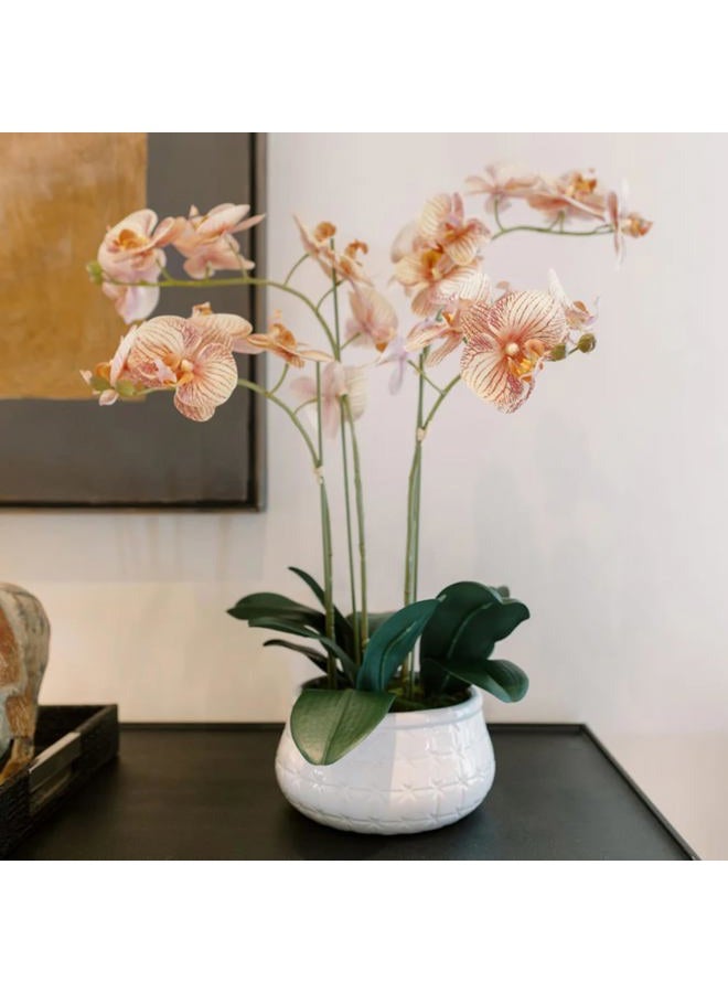 CG Hunter Faux Orange Orchid Plant, Premium Artificial Indoor Flower Display Stands 23”, Beautiful Sculptural Blooms That Lasts Forever, Grey Planter Pot Included - Image 1