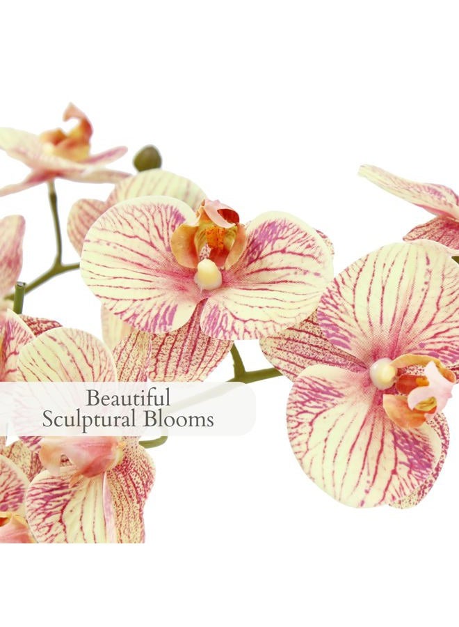 CG Hunter Faux Orange Orchid Plant, Premium Artificial Indoor Flower Display Stands 23”, Beautiful Sculptural Blooms That Lasts Forever, Grey Planter Pot Included - Image 3