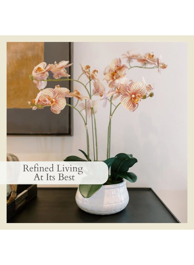 CG Hunter Faux Orange Orchid Plant, Premium Artificial Indoor Flower Display Stands 23”, Beautiful Sculptural Blooms That Lasts Forever, Grey Planter Pot Included - Image 4