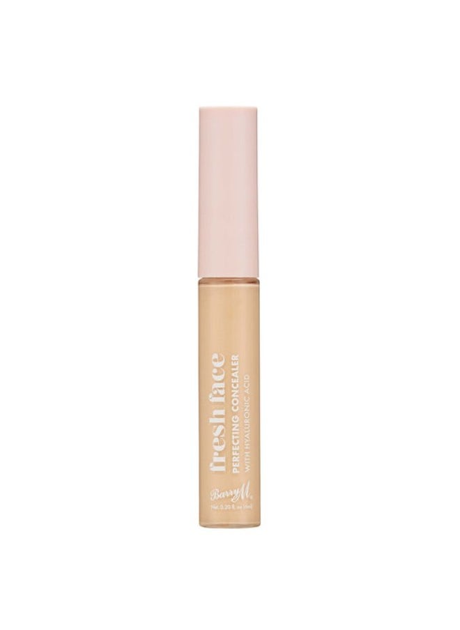 Barry M Fresh Face Perfecting Concealer Shade 3 