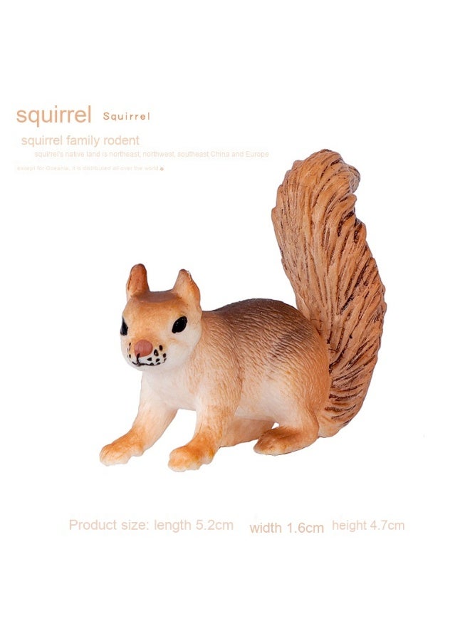 NIBEMINENT Realistic Zoo Model Squirrel and Chinchilla Cognitive Toy