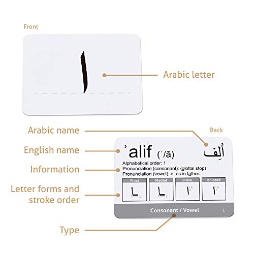CARDDIA | Arabic Alphabet Educational Flashcards | Includes Consonants, Vowels, Diacritics and Numerals | Ideal for Arabic Language Beginners - Image 3