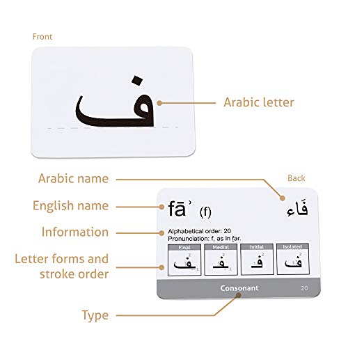 CARDDIA | Arabic Alphabet Educational Flashcards | Includes Consonants, Vowels, Diacritics and Numerals | Ideal for Arabic Language Beginners - Image 4