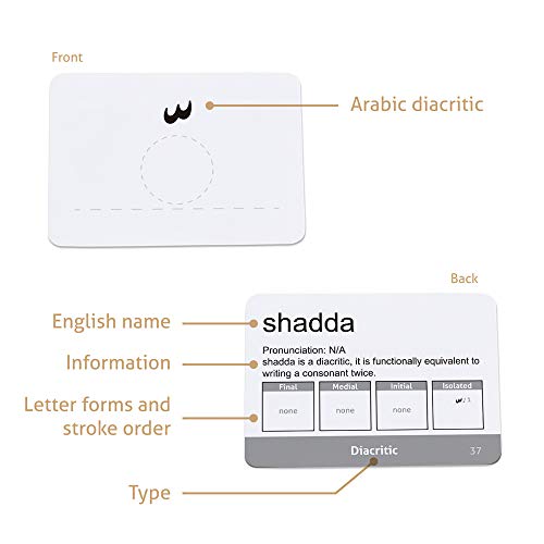 CARDDIA | Arabic Alphabet Educational Flashcards | Includes Consonants, Vowels, Diacritics and Numerals | Ideal for Arabic Language Beginners - Image 5