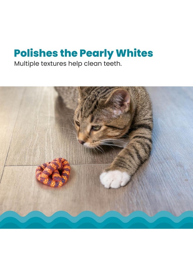 Catstages Plaque Away Pretzel Cat Toy - Interactive Catnip Dental Chew Toy to Help Clean Teeth, Fun for Play and Chewing, Orange - Image 4