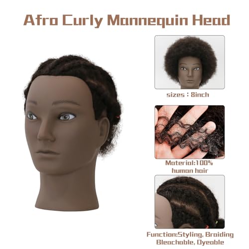 WDQXCQA Afro Male Mannequin Head 8-inch mannequin head with 100% human hair that can be bleached or dyed to suit hair styling practice cutting practice styling practice and braiding practice - Image 2