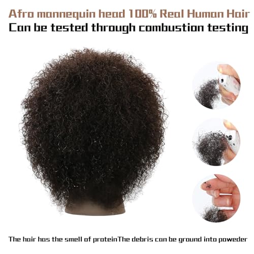 WDQXCQA Afro Male Mannequin Head 8-inch mannequin head with 100% human hair that can be bleached or dyed to suit hair styling practice cutting practice styling practice and braiding practice - Image 4