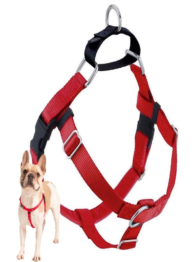 2 Hounds Design Freedom No Pull Dog Harness, Adjustable Harness, Easy Walking & Comfortable Control, Fits Small, Medium & Large Dogs, Solid Colors, Made in USA, 1" XXL, Red - Image 1