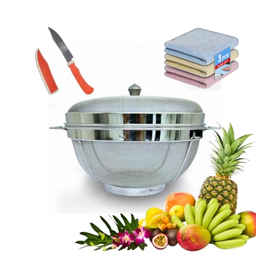 ASHMEN SS Fruit Storage Basket with Lid & Handles | 10 Inch Premium Mesh Basket | Fruit Basket With Lid | Fruit Basket for Dining Table | 3 Wire Dishwashing Rags for Wet and Dry Cleaning & 1 Knife - Image 1