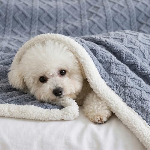 PAJEO Sherpa Blanket for Bed - Fleece Soft Cozy Fuzzy Blankets Thick Warm for Winter and All Seasons(Light Gray,Full(80"x90")) - Image 3