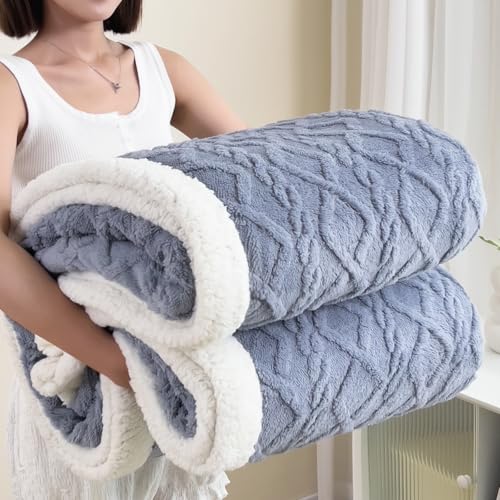 PAJEO Sherpa Blanket for Bed - Fleece Soft Cozy Fuzzy Blankets Thick Warm for Winter and All Seasons(Light Gray,Full(80"x90")) - Image 1