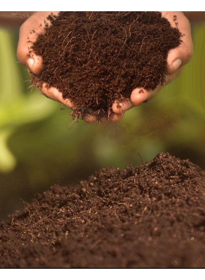 تربة البيتموس ، تربه زراعة خفيفة ، مناسب نباتات الداخلية والستنة خليه من أي امراض - Image 3