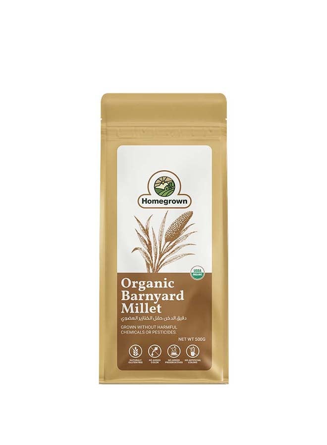Homegrown Organic Barnyard Millet (Samwa) – 500g  | Unpolished, Gluten-Free, High Fiber Millet | Perfect for Khichdi, Upma & Healthy Diets - Image 1
