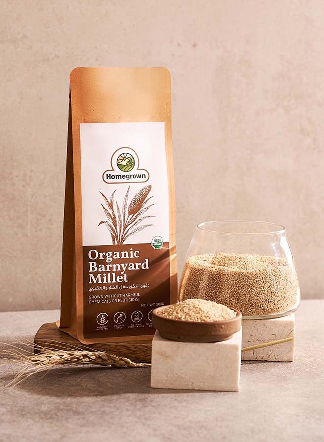 Homegrown Organic Barnyard Millet (Samwa) – 500g  | Unpolished, Gluten-Free, High Fiber Millet | Perfect for Khichdi, Upma & Healthy Diets - Image 3