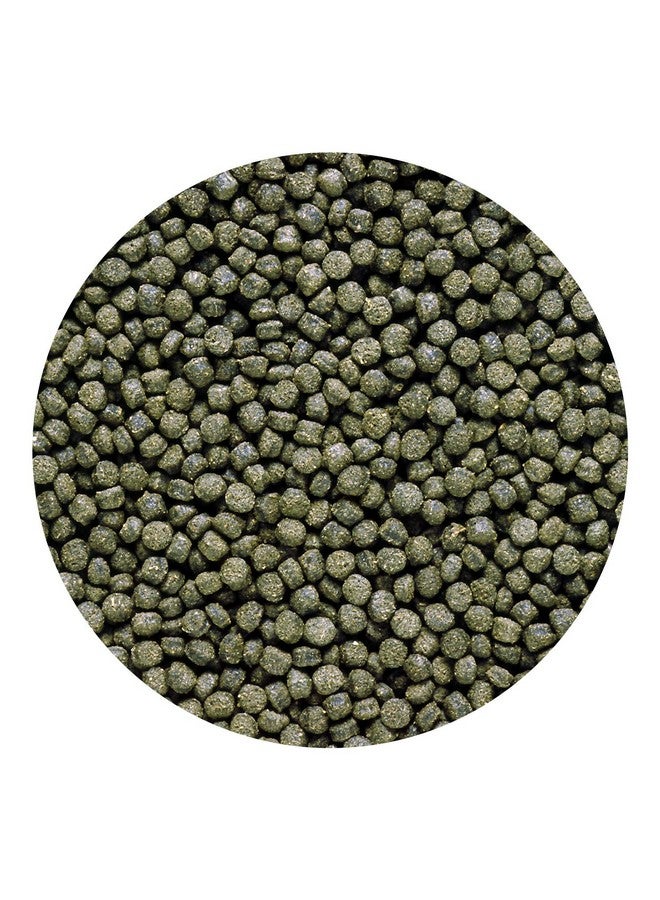 Hikari هikari سابح سيكلد إكسل (جديد) | 100 جرام، لجميع مراحل الحياة، حبيبات، سمك - Image 5