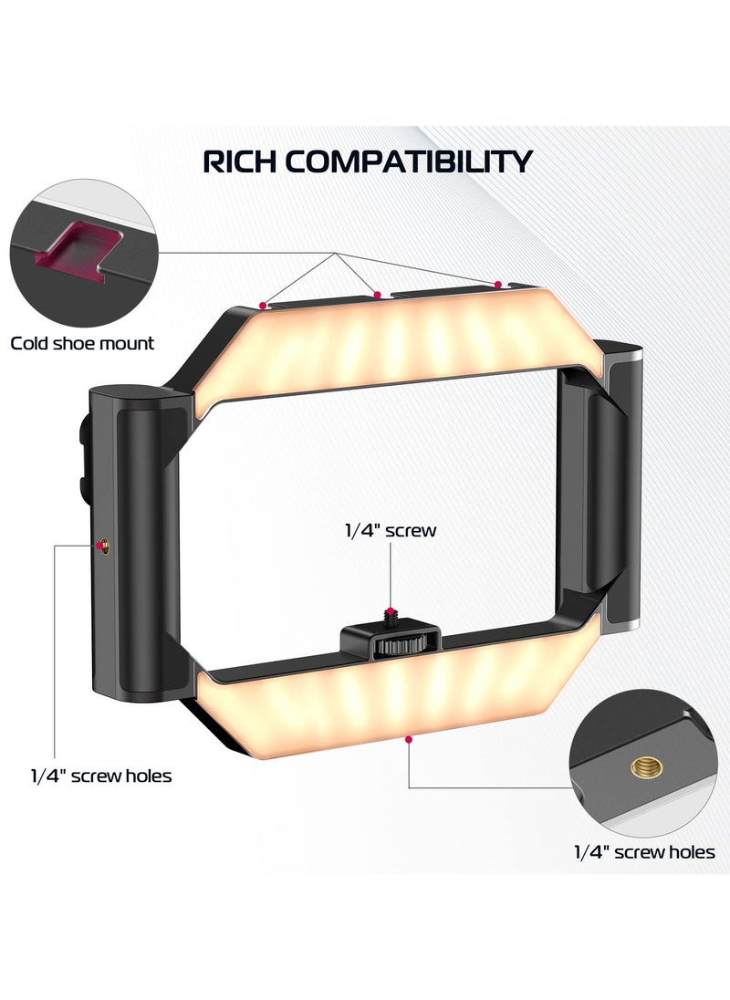 Ulanzi - ULANZI Smartphone Video Rig with Light, Cell Phone Handheld Stabilizer with Ring Light for Filmmaking Live Steam Video Recording - Image 1