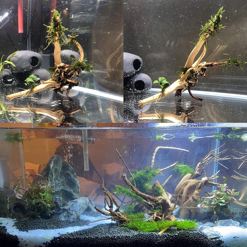 kathson 7 PCS Natural Aquarium Driftwood Reptile Branches Wood Terrarium Ornament Trunk Fish Tank Log Habitat Decoration Tree Stump Decor Assorted Sizes Wood - Image 3