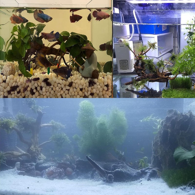 kathson 7 PCS Natural Aquarium Driftwood Reptile Branches Wood Terrarium Ornament Trunk Fish Tank Log Habitat Decoration Tree Stump Decor Assorted Sizes Wood - Image 4