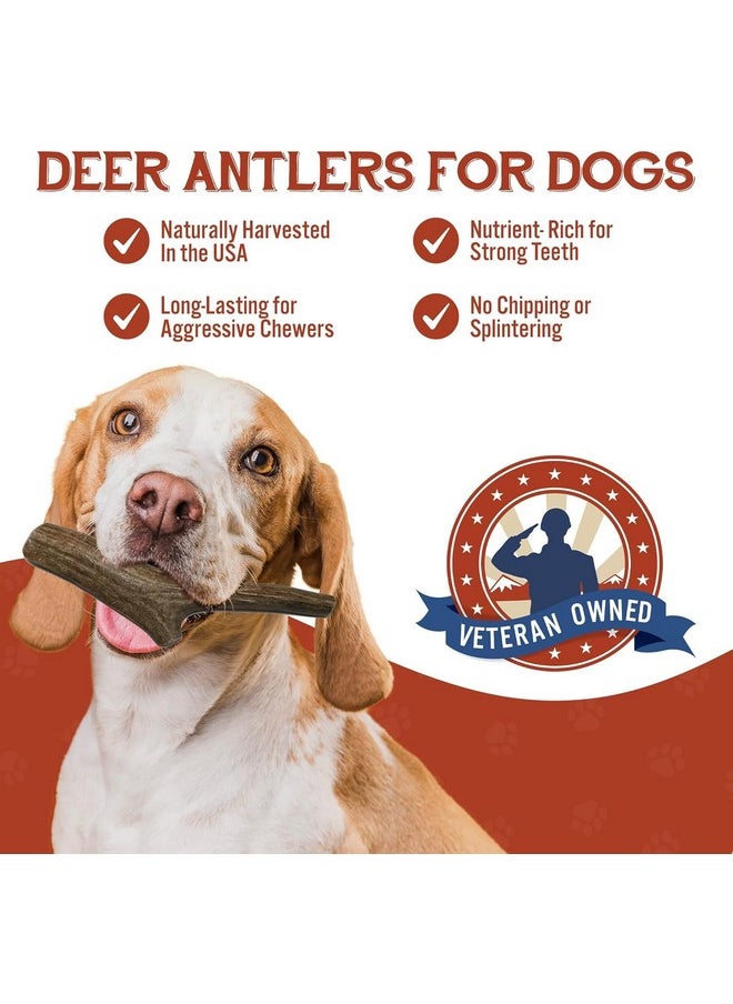 Heartland Antlers Heartland Deer Antlers For Dogs  Grade A, Naturally Shed Antlers | Dog Bones For Aggressive Chewers & Teething Puppies | Chew Toy For All Breeds | Usa Made & Veteran Owned (Small: 45 Deer 2Pack)  - Image 2