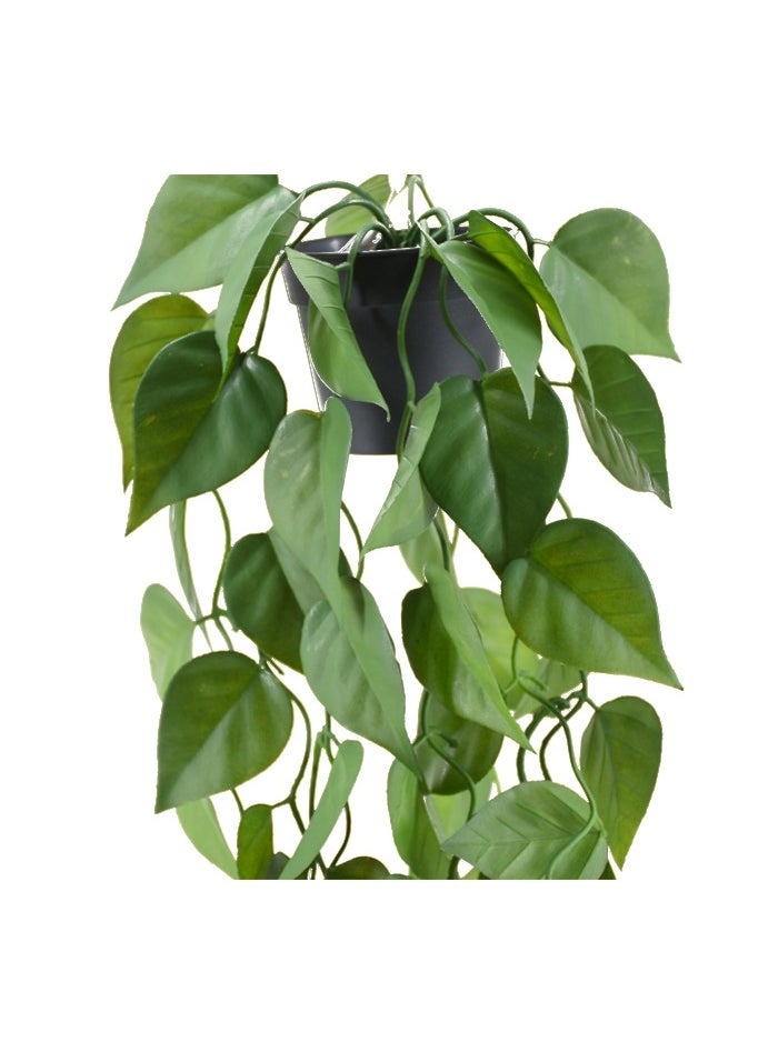 DRAMA HOME Artificial Plant Plants Artificial Garland for Home House Bedroom Garden Indoor Outside Hanging Decor Green  - Image 2