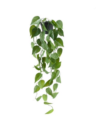 Artificial Plant Plants Artificial Garland for Home House Bedroom Garden Indoor Outside Hanging Decor Green - pzsku/ZDD1342BCFE3B4B7E4E4AZ/45/_/1718809413/bafe586d-8e62-4905-b659-818e867f0ef0