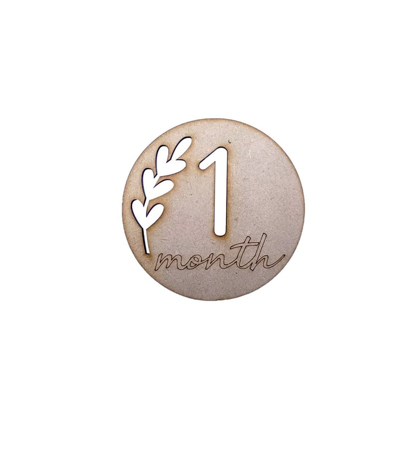 Haoser Wooden Monthly Milestone Discs for Baby Photos/Baby Milestone Cards/See Animals- Milestone Cards/New Baby Gift/Baby Shower Gift, 13 Count - Image 4