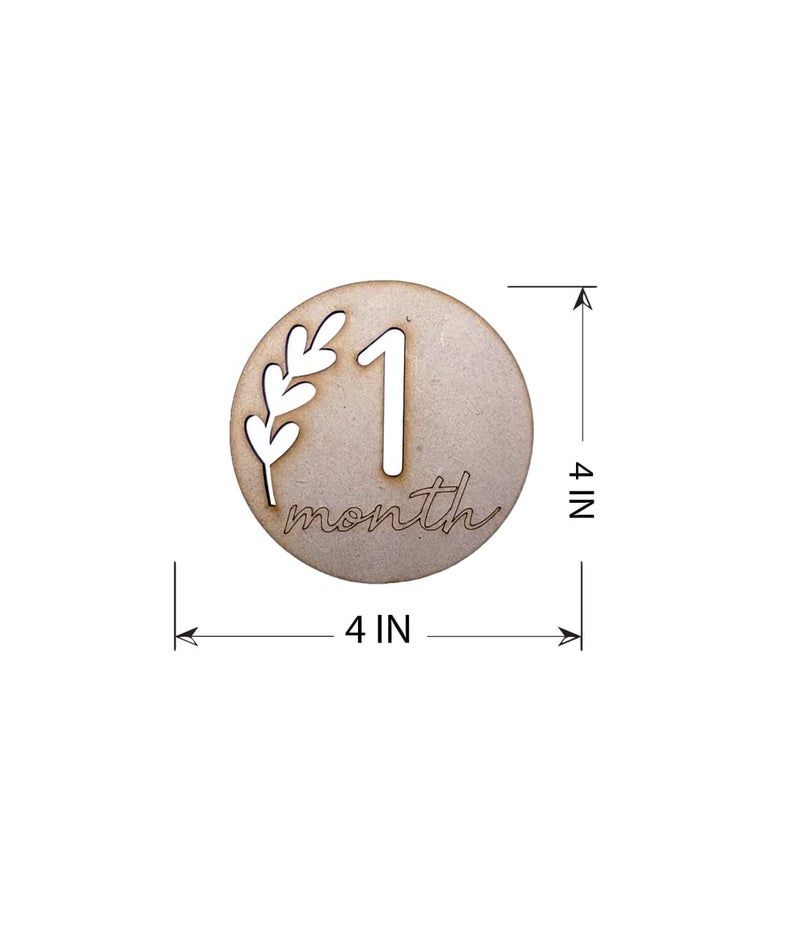 Haoser Wooden Monthly Milestone Discs for Baby Photos/Baby Milestone Cards/See Animals- Milestone Cards/New Baby Gift/Baby Shower Gift, 13 Count - Image 5