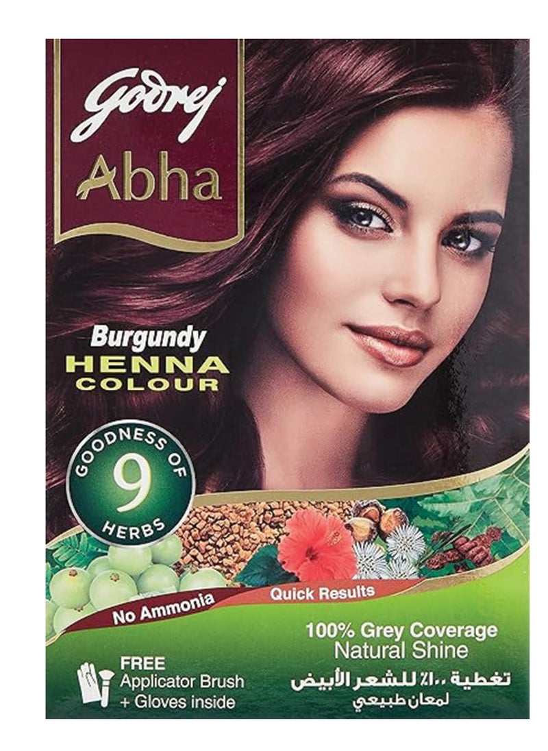 Godrej Henna Colour (Natural Brown) Pack of 6 Sachet 10gm 