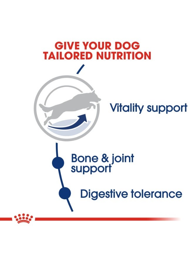 ROYAL CANIN Size Health Nutrition Maxi Adult 5+ 15 KG - Image 3