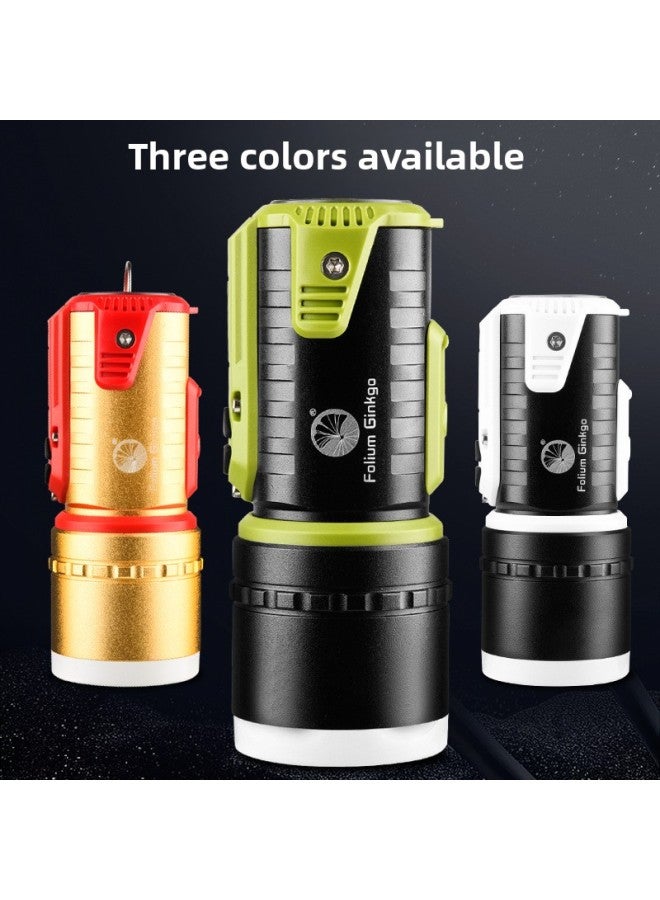 Fishing Light Strong Light Super Bright Blue Light Fishing Flashlight USB Rechargeable Waterproof Four Light Source 40W Night Fishing Light Table Fishing Light 