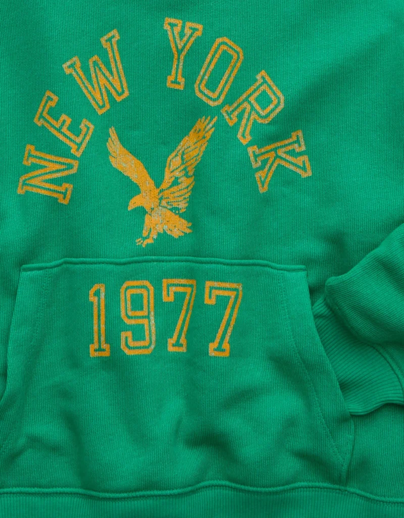American Eagle  AE Campus Graphic Hoodie  | Best Price UAE