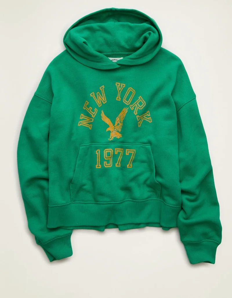 AE Campus Graphic Hoodie