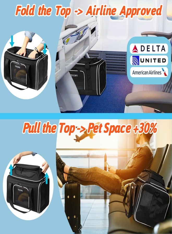 Petskd Top-Expandable Pet Carrier 18x11x11 Inches Delta American United Airline Approved, Soft-Sided Carrier for Small Cats and Dogs with Locking Safety Zippers and Anti-Scratch Mesh(Black) - Image 2