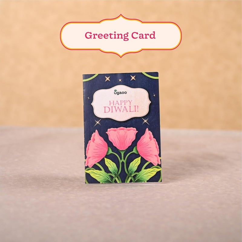 UGAOO Peace Lily Diwali Gift Hamper(Set of 4) with Candle Holders(Set of 2) and Tealight Candles(Set of 10) for Diwali Gifting - Image 4