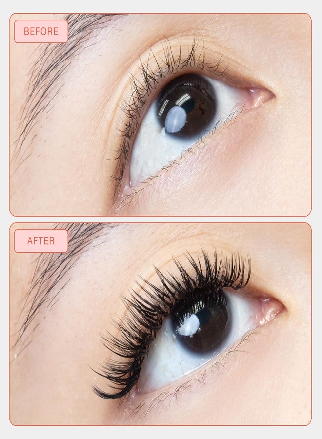 Curacoro LashFolio Wet Promade Fans, Handmade Volume Eyelashes, 5D To 10D, C CC D Curl, 0.03~0.07 mm, 8-13mm Mix Length, Professional Long-Lasting Promade Lash Fans (5D-0.07 D 8mm-13mm) - Image 4