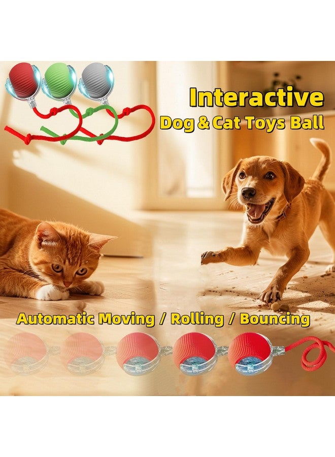 كرة لعبة تفاعلية للكلاب والقطط، تتحرك تلقائيًا وتتدحرج، مع ذيل بديل، كرة مطاردة ذكية للحيوانات الأليفة قابلة لإعادة الشحن، ألعاب إثراء للقطط/الكلاب البالغة التي تشعر بالملل في الأماكن المغلقة (أخضر) - Image 2
