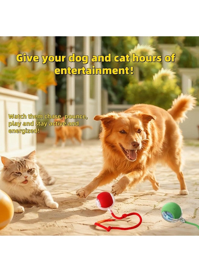 كرة لعبة تفاعلية للكلاب والقطط، تتحرك تلقائيًا وتتدحرج، مع ذيل بديل، كرة مطاردة ذكية للحيوانات الأليفة قابلة لإعادة الشحن، ألعاب إثراء للقطط/الكلاب البالغة التي تشعر بالملل في الأماكن المغلقة (أخضر) - Image 3