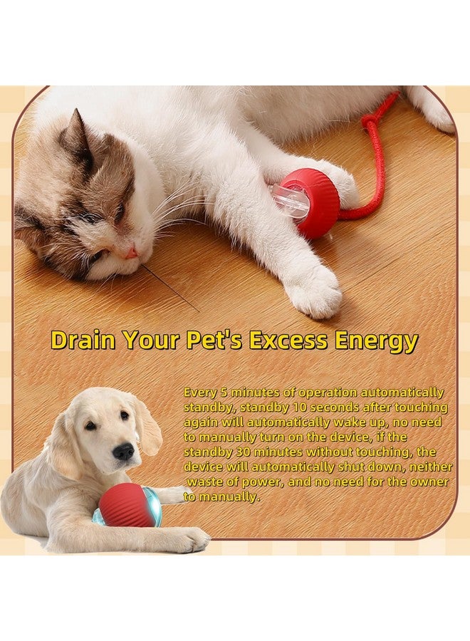 كرة لعبة تفاعلية للكلاب والقطط، تتحرك تلقائيًا وتتدحرج، مع ذيل بديل، كرة مطاردة ذكية للحيوانات الأليفة قابلة لإعادة الشحن، ألعاب إثراء للقطط/الكلاب البالغة التي تشعر بالملل في الأماكن المغلقة (أخضر) - Image 4
