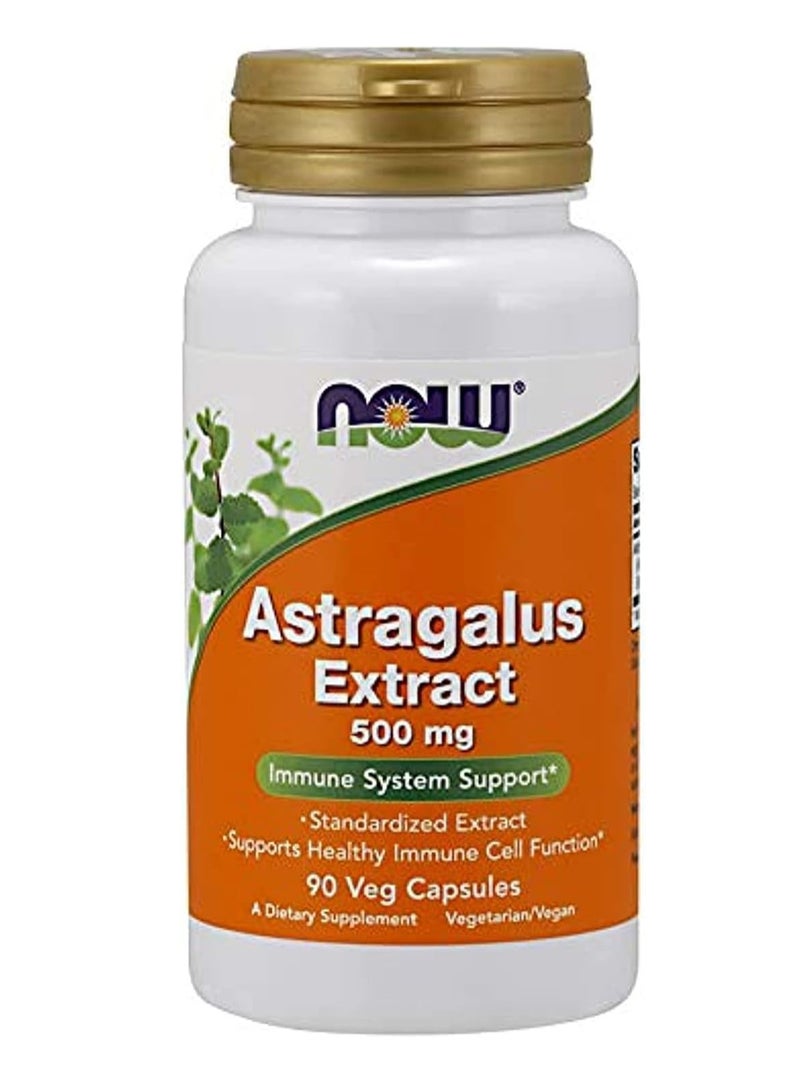 now Astragalus Extract, 500 mg, 90 Veggie Caps - Image 1