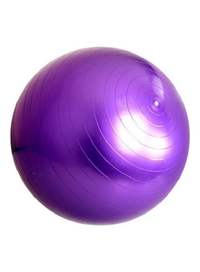 Nariele Fitness Eercise Swiss Gym Fit Yoga Core Ball Abdominal Back Leg Workout 65cm - Image 2