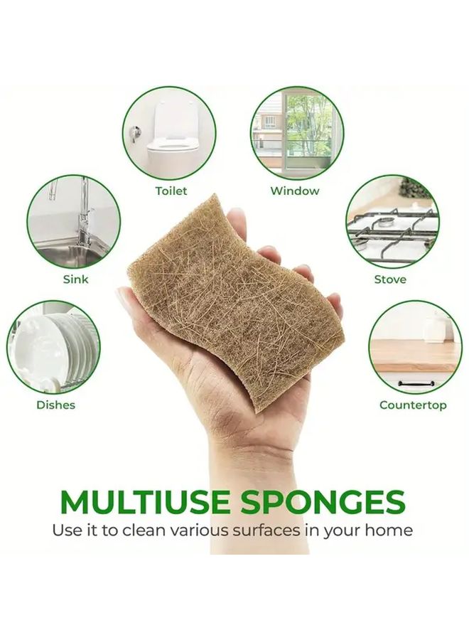 Natural Cellulose Coconut Kitchen Sponge 12pcs for Dishes and Scrubbing - Image 5